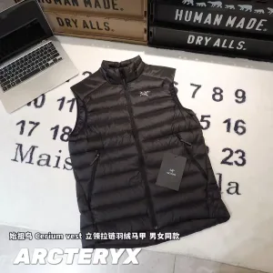 AAA Archaeopteryx Vest Ash Duck Down Nylon Fabric
