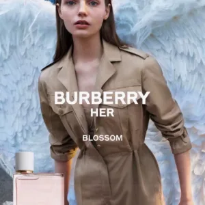 Luxury AAA Burberry Perfume Black Lady Down