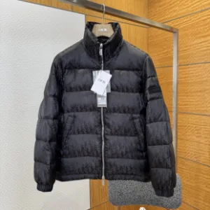 Luxury Reps Dior Down Jacket Green Duck Nylon Satin Jacquard Pattern Crisp Silhouette
