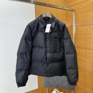 High Quality Super Clone Dior Down Jacket Ash Nylon Jacquard Brocade High-End Quality