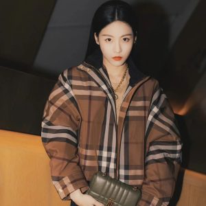 Aaa Burberry Jacquard Outerwear