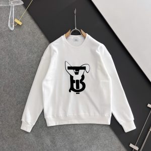 Luxury Burberry Hoodies For Autumn
