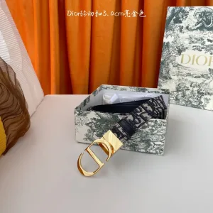 High Quality Reps Dior Belt Ash