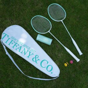 Designer Tiffany Abs Storage Bag