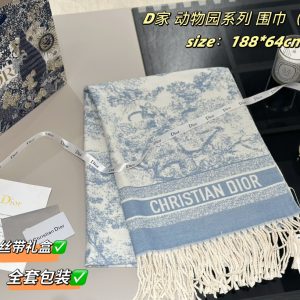 Luxury Dior Scarf For Autumn
