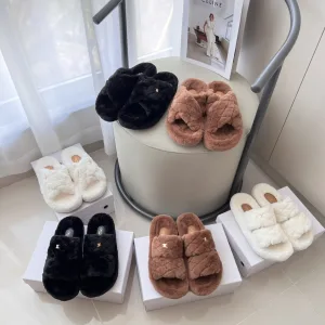 AAA Celine Shoe Cabinet Ash Street Style Autumn Winter