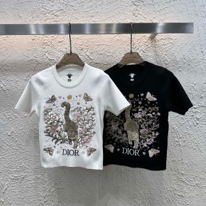 Luxury High Quality Dior Short Sleeves