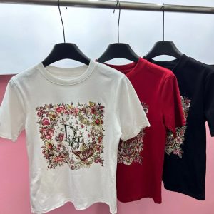 Aaa High Quality Dior Stone Short-Sleeved T-Shirt