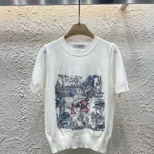 High Quality Aaa Dior Short Sleeves