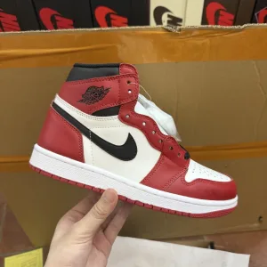 AAA Luxury Etro Jordan