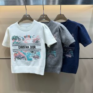 High Quality Dior Short Sleeves