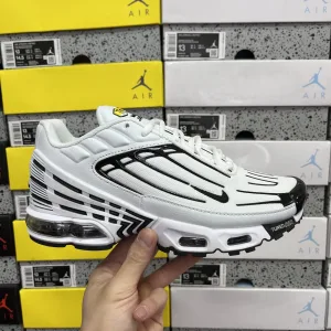 Luxury Nike Air Max Running