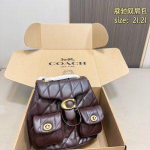 Luxury Coach Abs Backpack