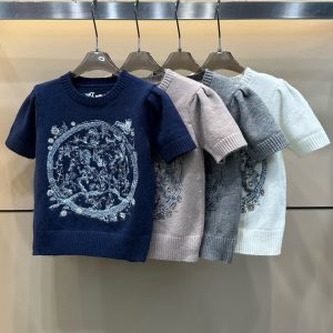Aaa High Quality Dior Short Sleeves