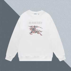 High Quality Burberry Hoodies For Spring