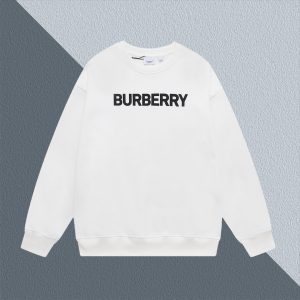 Designer Burberry Hoodies For Spring