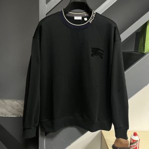 Aaa Burberry Hoodies For Spring