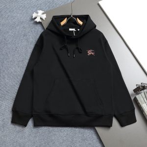 Aaa Luxury Burberry Hoodie For Spring