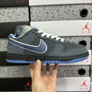 High Quality Nike Skate Shoes