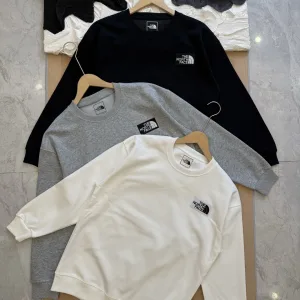 High Quality AAA The North Face Hoodie Ash Cotton Soft And Gentle Spring Autumn Winter Crisp Silhouette