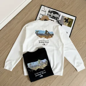 AAA Luxury The North Face Hoodie Ash Cotton Soft And Gentle Spring Autumn Winter Crisp Silhouette