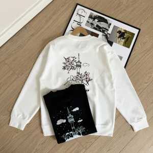 High Quality The North Face Hoodie Ash Cotton Spring Autumn Winter Four Seasons
