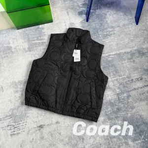 AAA Coach Hoodies Red Cotton Thin Clean And Neat Winter Embroidery