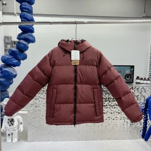 AAA High Quality The North Face Down Jacket Red Gore-Tex