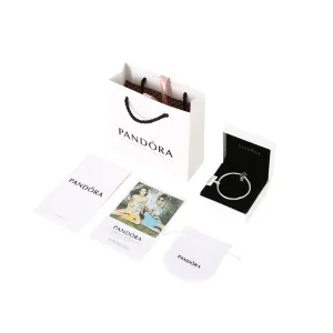 AAA Pandora Bracelet