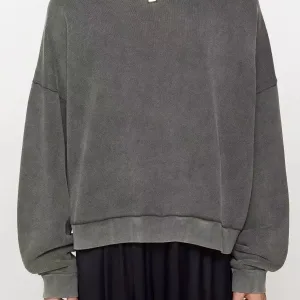 AAA Acne Studios Hoodies Ash